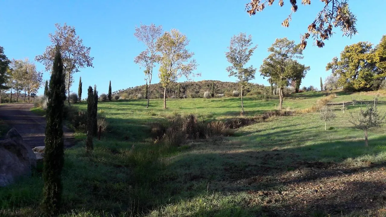 Agriturismo Aia Leccioni Micciano Italy