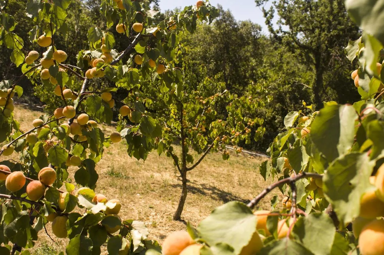 Agriturismo Aia Leccioni Micciano Farm stay