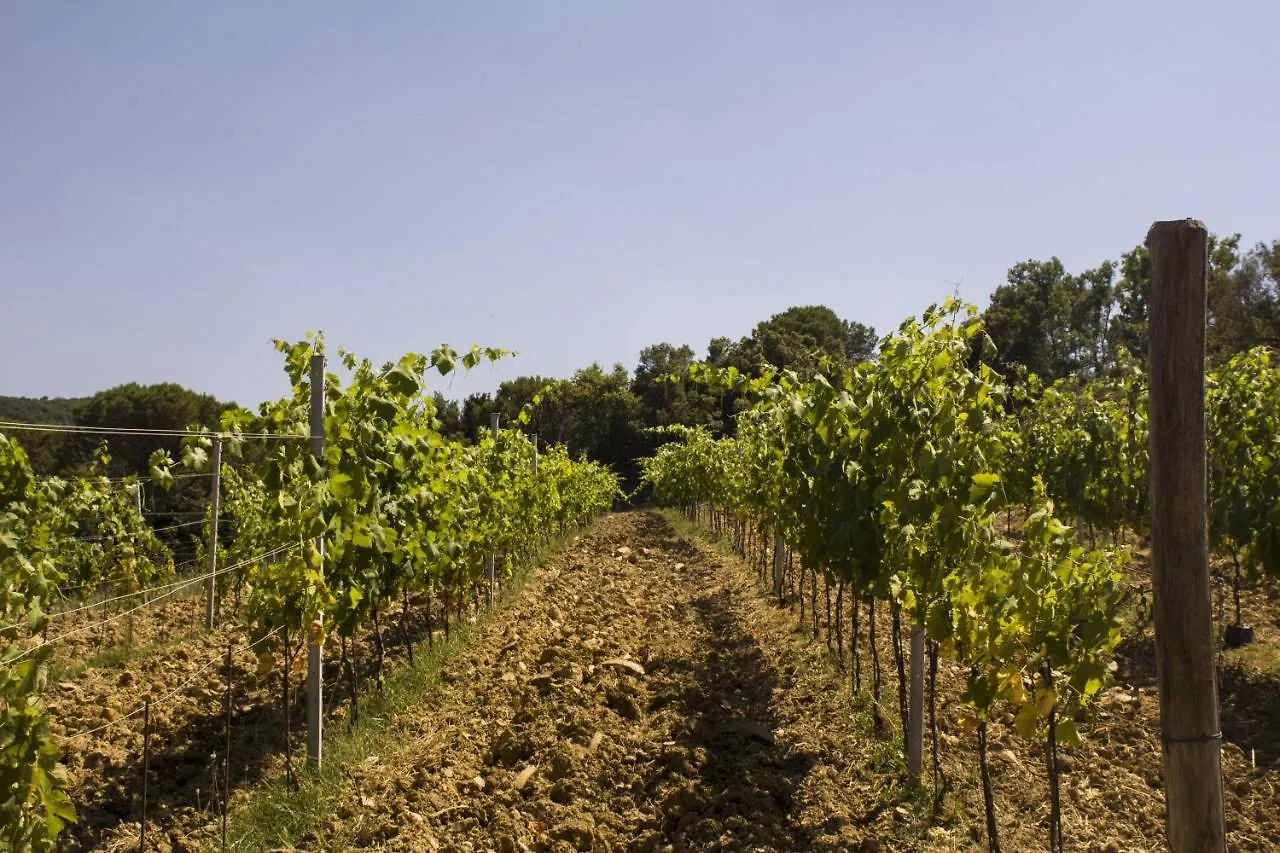 Agriturismo Aia Leccioni Micciano