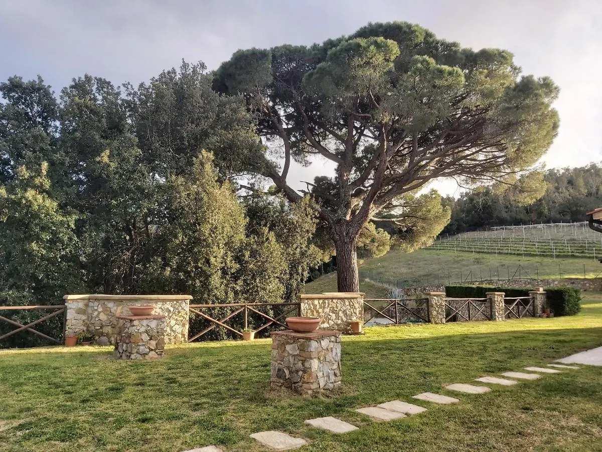 Agriturismo Aia Leccioni Micciano 0*,