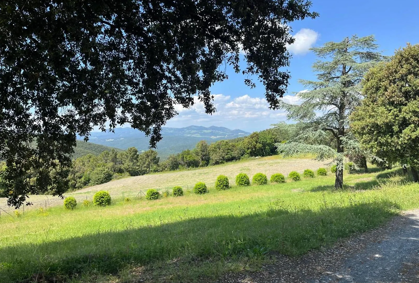 Agriturismo Aia Leccioni Micciano