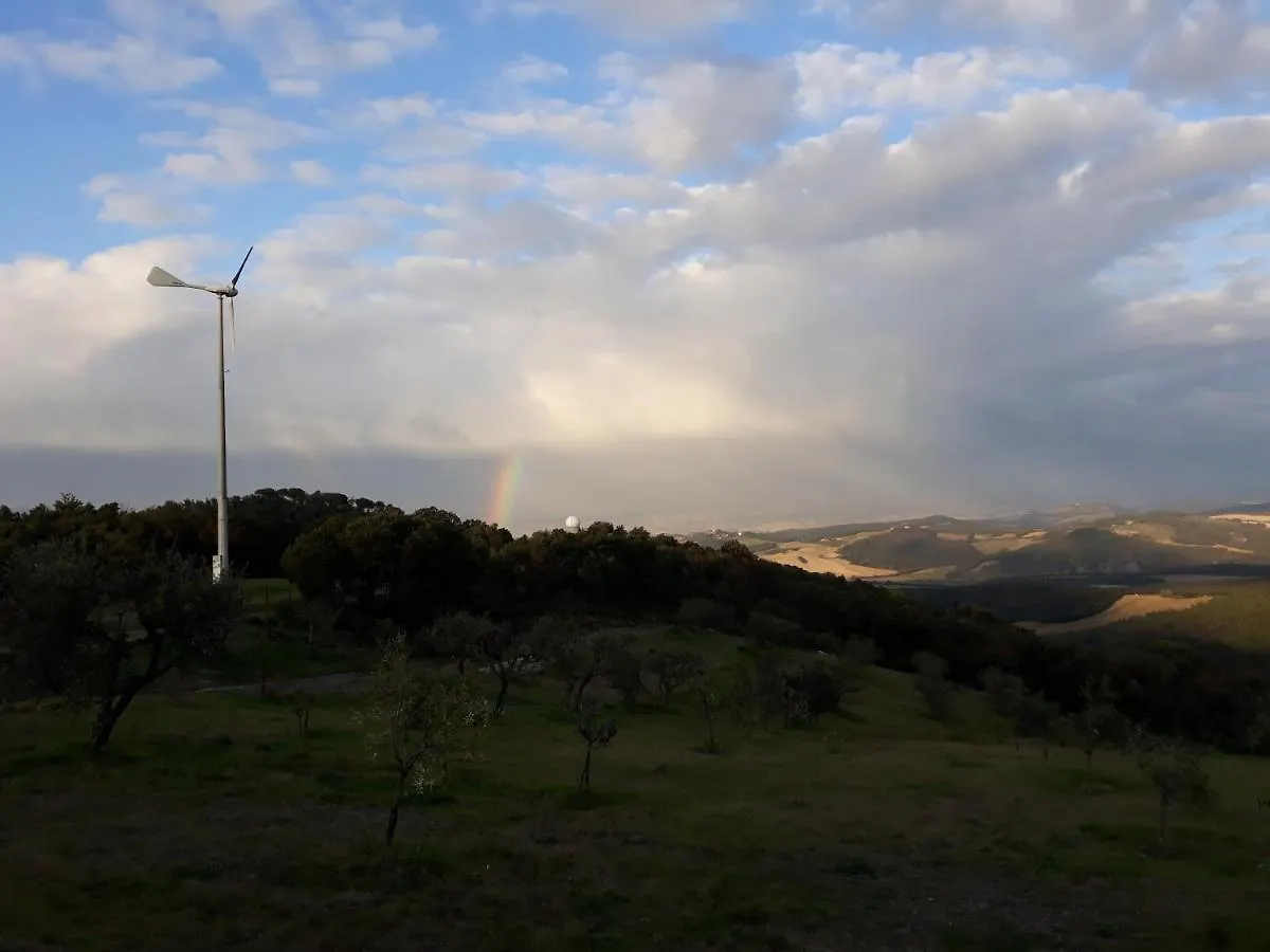 Agriturismo Aia Leccioni Micciano مزرعة للإقامة